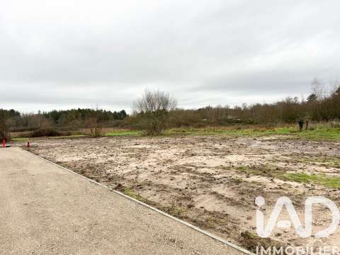 Vente de terrain Pruniers-en-Sologne 41