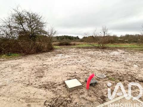 Vente de terrain Pruniers-en-Sologne 41