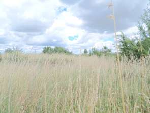 Vente Terrain 1000 m&sup2;Puyravault