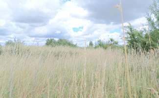 Photo Vente de terrain Puyravault