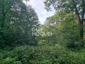 Vente Terrain 5880 m&sup2;Questembert