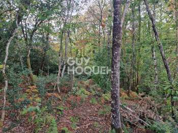 Vente Terrain 1680 m&sup2;Questembert