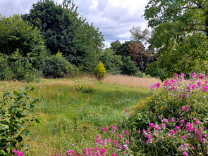 Vente Terrain 2480 m&sup2;Quettreville-sur-Sienne