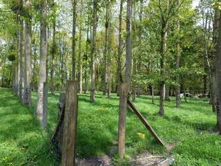 Vente de terrain