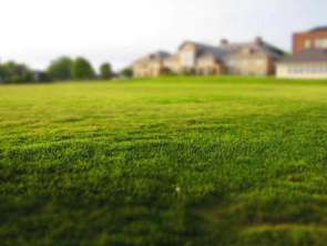 Vente Terrain 341 m&sup2;Quilly