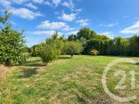 Vente de terrain