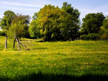 Vente Terrain 520 m&sup2;Quimperlé