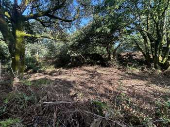Vente Terrain 605 m&sup2;Quistinic