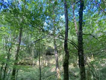 Vente Terrain 16625 m&sup2;Quistinic