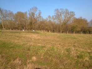 Vente Terrain 301 m&sup2;Rablay-sur-Layon