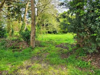 Photo Vente de terrain Radenac
