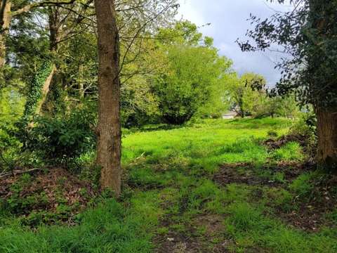 Vente de terrain