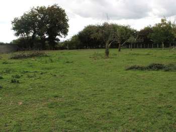 Vente de terrain