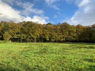 Photo Vente de terrain Redon