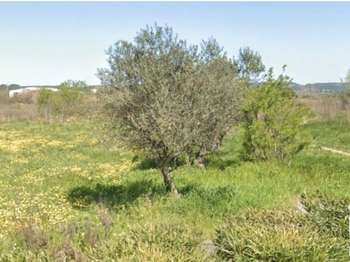 Vente Terrain 186 m&sup2;Remoulins