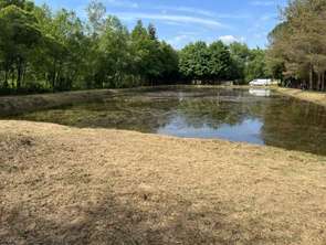 Vente Terrain 12190 m&sup2;Renac