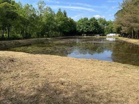 Vente de terrain Renac 35