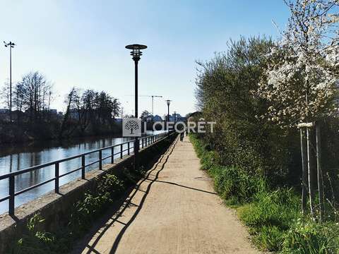 Vente de terrain Rennes Gare 35