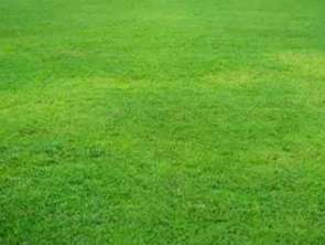 Vente Terrain 310 m&sup2;Rezé