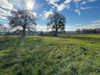 Vente Terrain 360 m&sup2;Rezé
