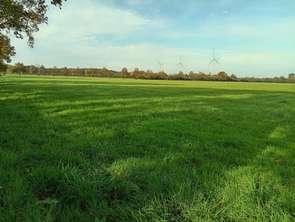 Vente Terrain 170000 m&sup2;Riaillé