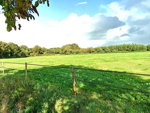 Vente de terrain