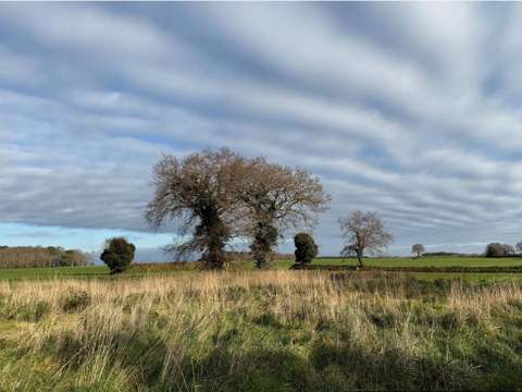 Vente de terrain Riantec 56