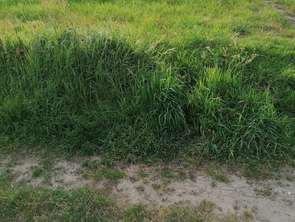 Vente Terrain 316 m&sup2;Riantec