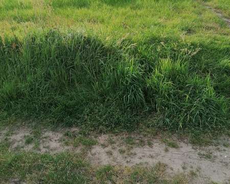 Vente de terrain Riantec 56