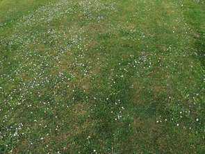 Vente Terrain 248 m&sup2;Riantec