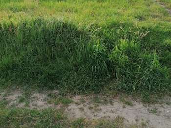 Vente de terrain Riantec 56