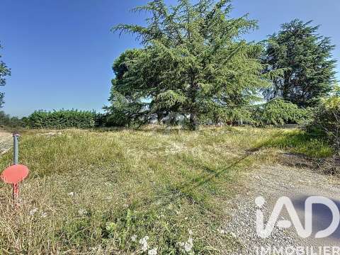 Vente de terrain Rieumes 31
