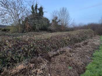 Vente de terrain