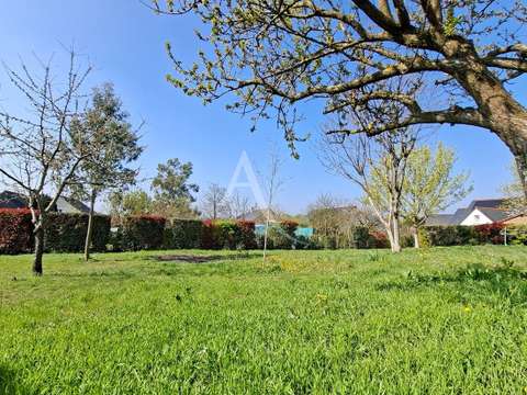 Vente de terrain Rives-du-Loir-en-Anjou 49