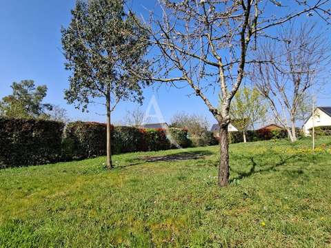 Vente de terrain