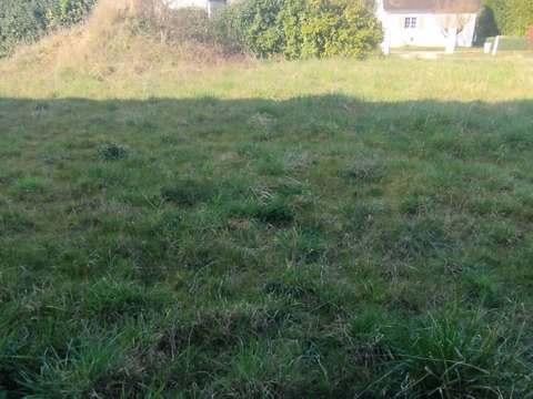 Vente de terrain