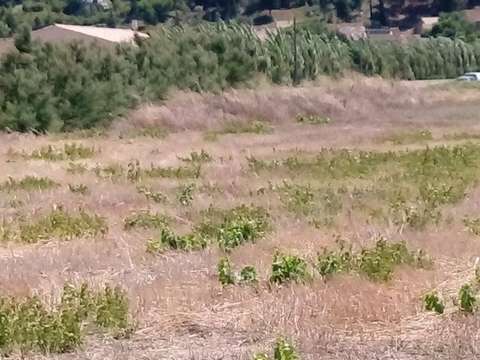 Vente de terrain
