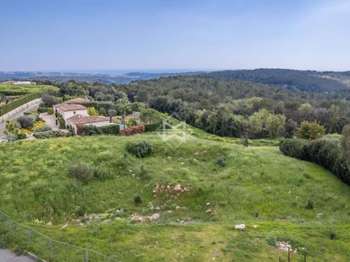 Vente Terrain 4457 m&sup2;Roquefort-les-Pins