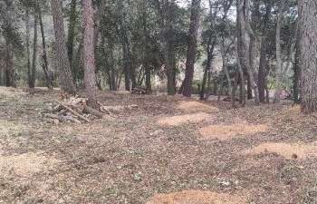 Vente Terrain 3221 m&sup2;Roquefort-les-Pins