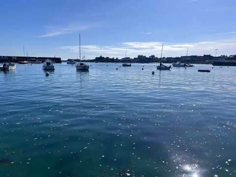 Vente de terrain Roscoff 29
