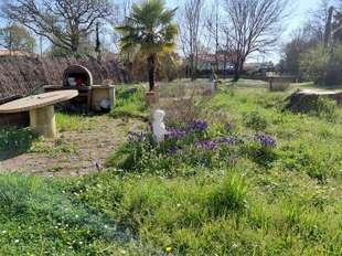 Photo Vente de terrain Rouans