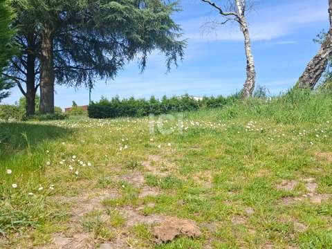 Vente de terrain Rouans 44