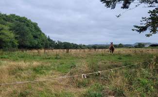 Photo Vente de terrain Roudouallec