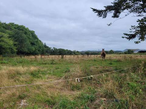 Vente de terrain Roudouallec 56