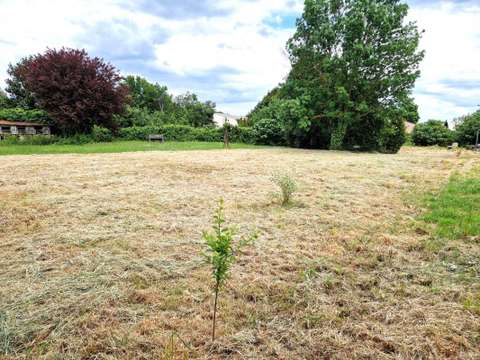Vente de terrain