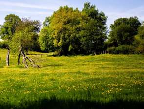 Vente Terrain 360 m&sup2;Roz-Landrieux