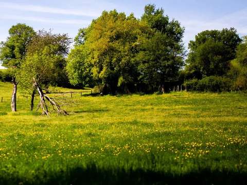 Vente de terrain Roz-Landrieux 35