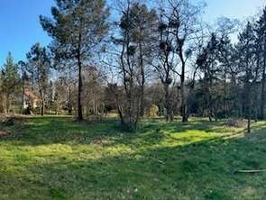 Vente TerrainRuaudin