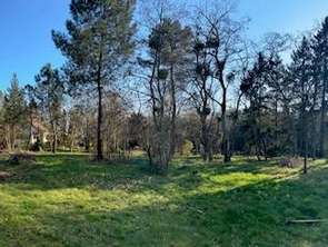 Vente TerrainRuaudin