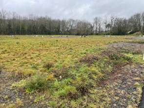 Vente Terrain 481 m&sup2;Saint-Aignan-Grandlieu